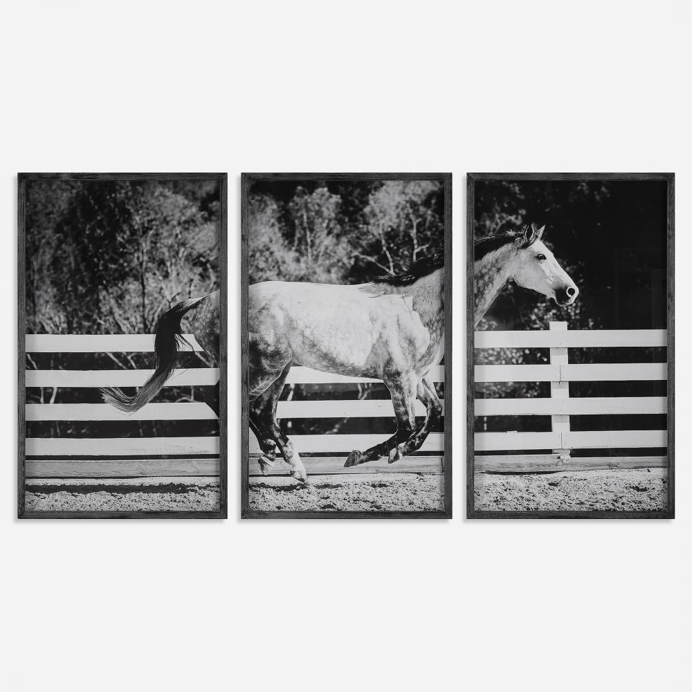Uttermost Galloping Forward Framed Prints, S/3