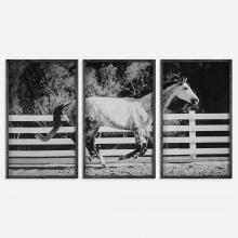Uttermost 32279 - Uttermost Galloping Forward Framed Prints, S/3