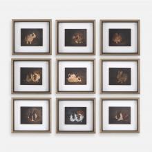 Uttermost 32386 - Uttermost Resting Bunny Framed Prints, S/9