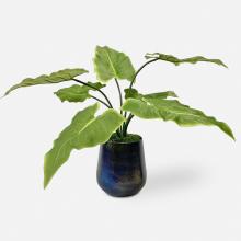 Uttermost 60179 - Uttermost Mari Calla Accent