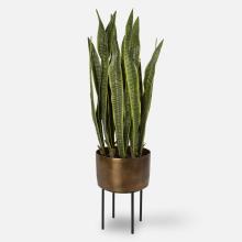 Uttermost 60185 - Uttermost Fasita Planter, 2 cartons