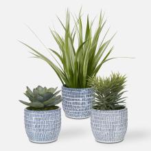 Uttermost 60192 - Uttermost Puebla Greenery, S/3