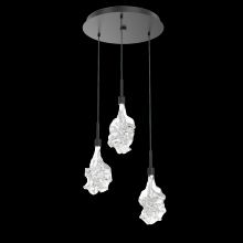 Hammerton CHB0059-05-BS-BC-C01-L1 - Blossom Round 5pc Multi-Pendant