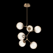 Hammerton CHB0092-VA-NB-A-001-L3 - Gaia Modern Vine - 6pc