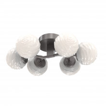 Hammerton CLB0092-01-GP-WL-L3 - Gaia Flush Mount - 6pc