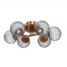 Hammerton CLB0092-01-NB-S-L1 - Gaia Flush Mount - 6pc