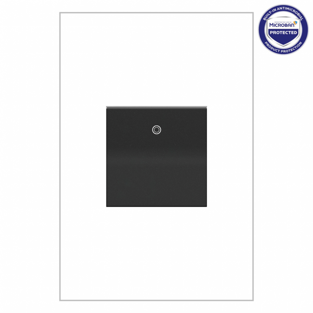 adorne 20A Paddle Switch, Graphite, with Microban