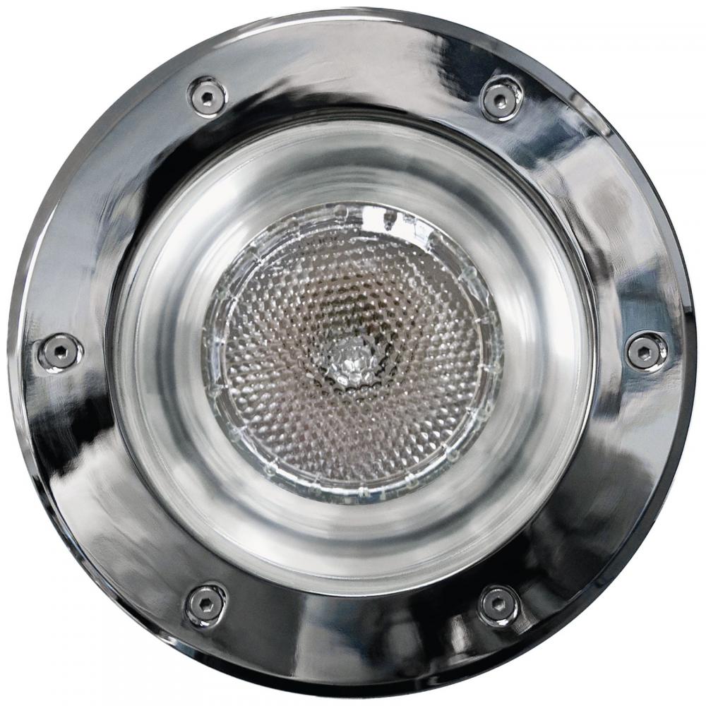 SS WELL LIGHT W/GRILL 100W HPS 120V