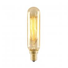 Bulbrite 132506 - NOS25T6/SQ/E12