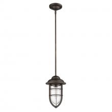 Acclaim Lighting 1706ORB - Dylan 1-Light Oil-Rubbed Bronze Convertible Mini-Pendant