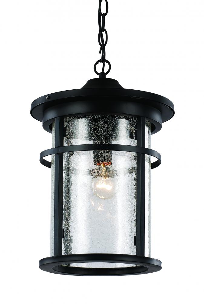 1LT HANGING LANTERN-MD-SEEDED