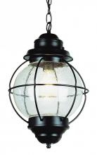 Trans Globe 69906 RBZ - Catalina 19" Hanging Lantern Pendant Light