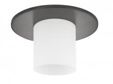 Recesso by Dolan Designs 10532-46 - Recesso-Hurricane Recessed Light Shade