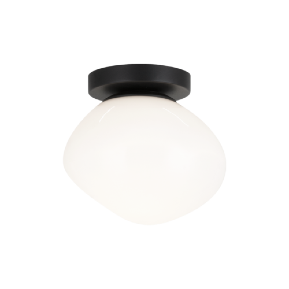 Melotte Black Wall Sconce / Ceiling Mount